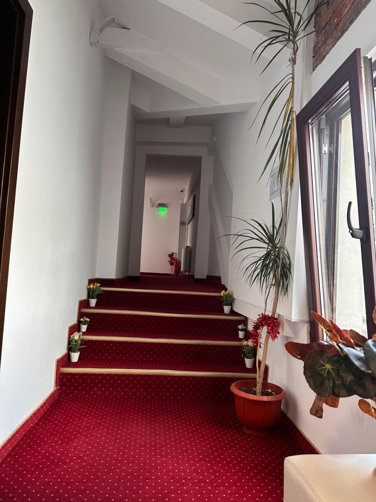 Pensiunea Sada Făgăraş Exteriör bild